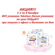 �� 2 �� 8 �������