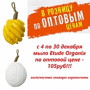 etude organix   