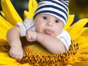 ��������� ��������� � ���������� �����